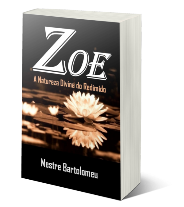 Zoe (ebook)